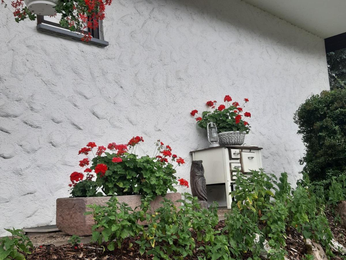 Ferienapartment Karle Nordrach 外观 照片